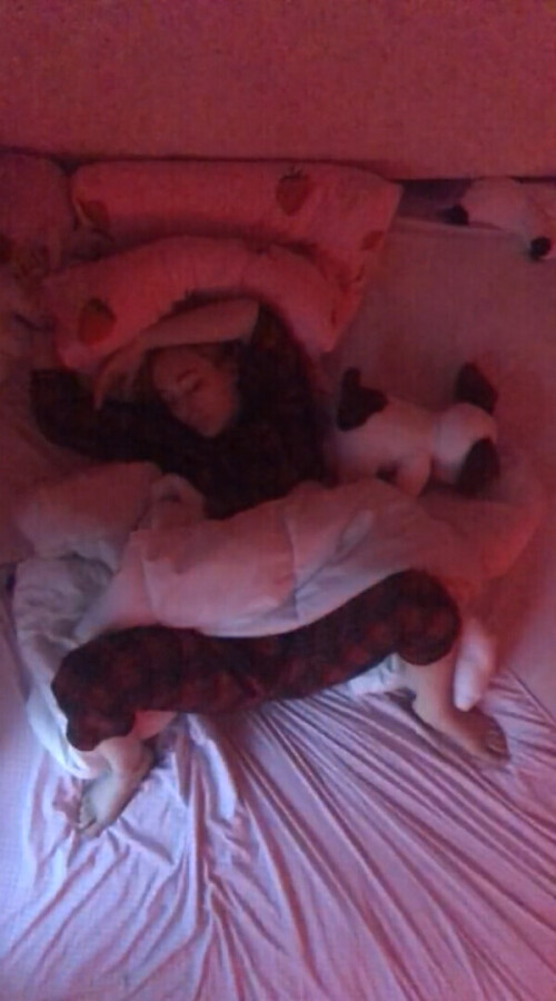 asleep 4912dd99d9dc3c06d