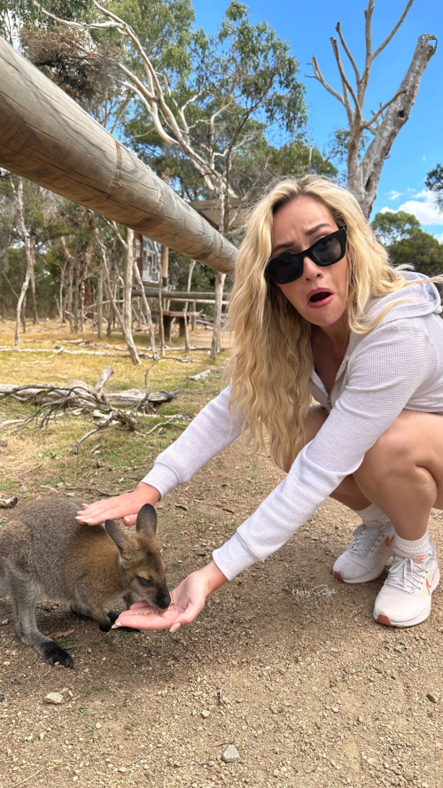 assets_page-editor_100.1678998875