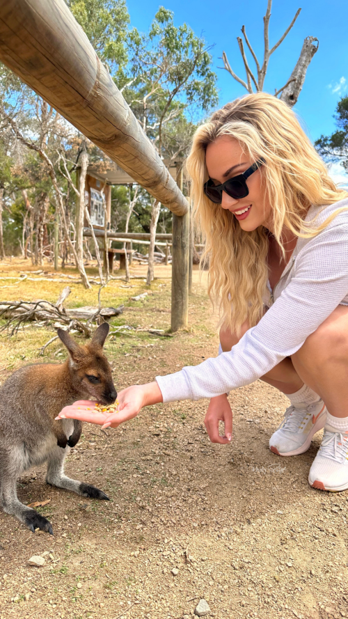 assets_page-editor_101.1678998896