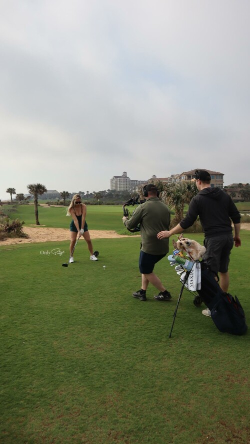 assets page editor 67.1677973515