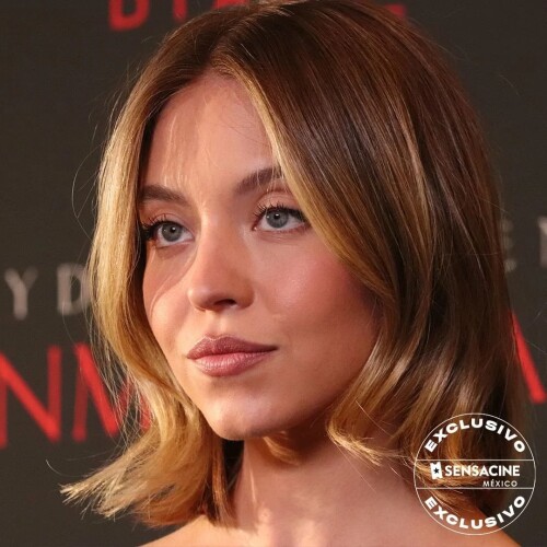 attending immaculate press in mexico may 2024 v0 vvfrx6lqq2yc1b92f929df4f8f0f1