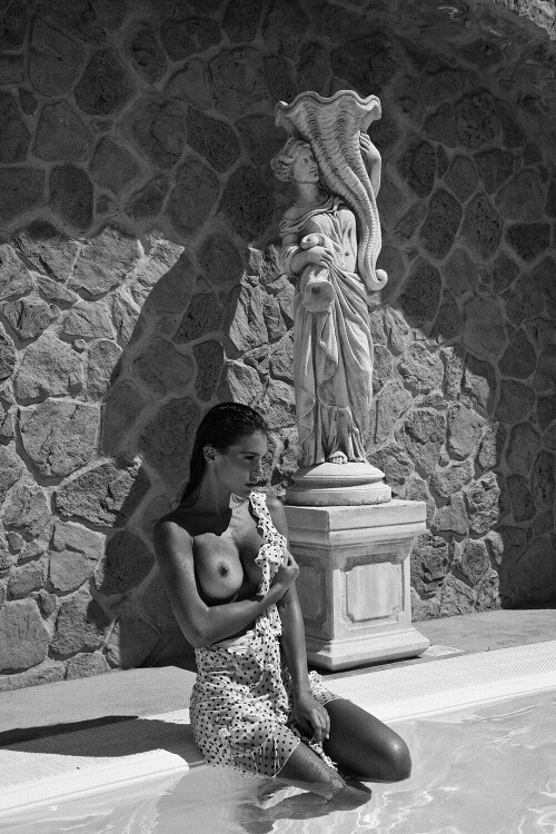 awd 219e59de8d2de2b3b5