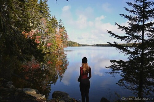 b789ad35 edaf 410f 9086 f88b90d6a551806435a62732c4c3