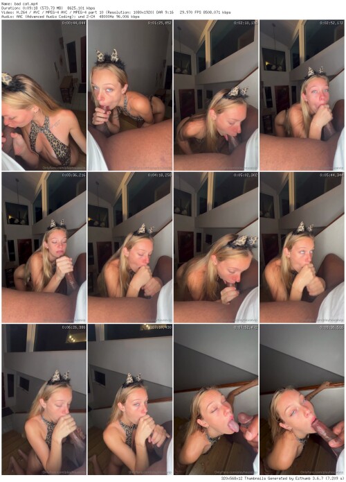 bad cat thumb332181ea2a35ea66