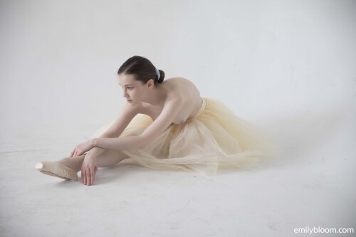 ballerina 0030229670d4dbbd37b7