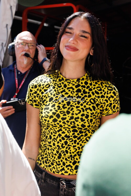 basgfsfg-3427ba07df51498a2b