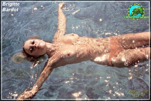 bbardot6