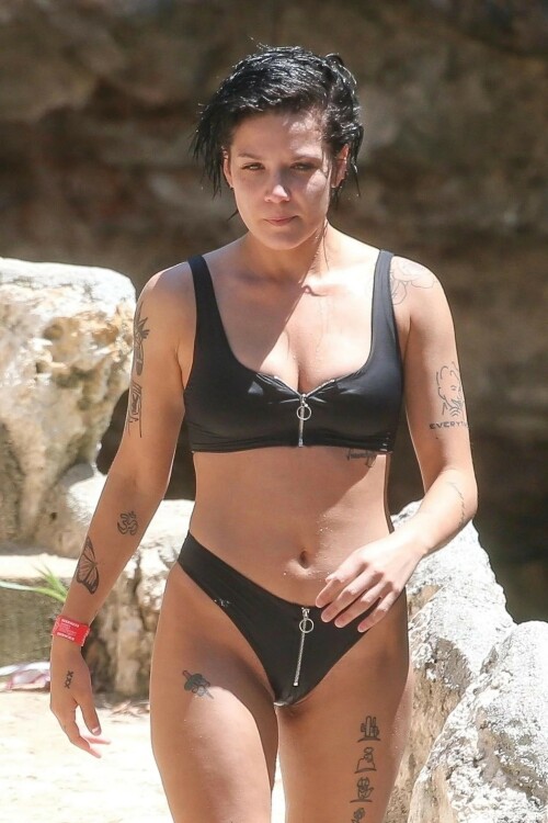 blgpanfvrhr81 result