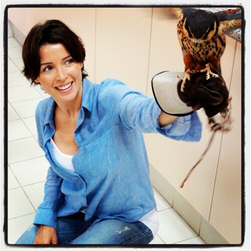 blue00351f54189657fd03e