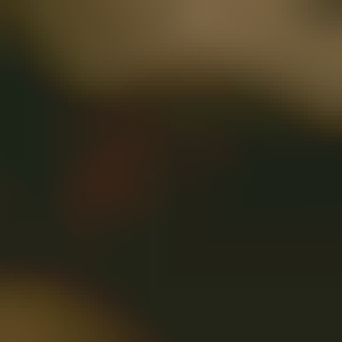 blur_21b55ade-5c02-489b-8aa2-8c8e1cf1247e0ce7a335e008a194.jpeg