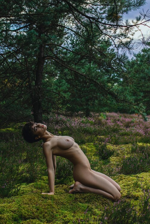 bnk4abyhg2qf101d178b447c3f894