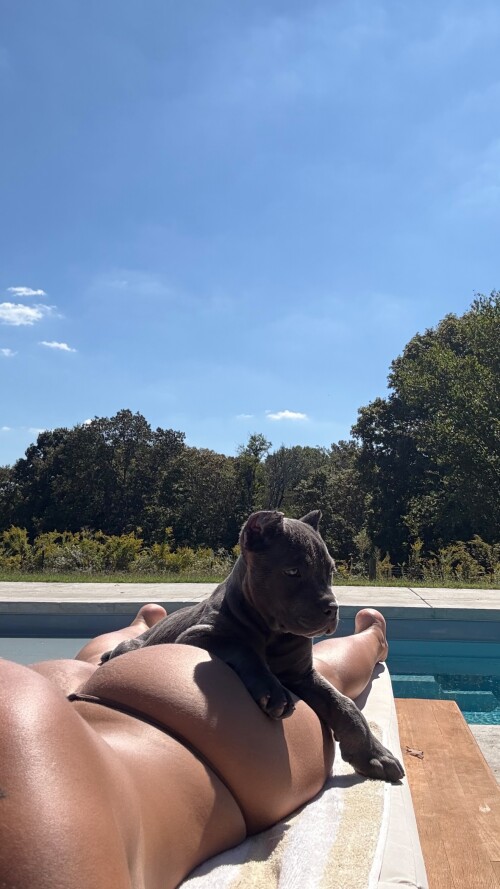 brand new niyk asssb64f4bc672d48bd4