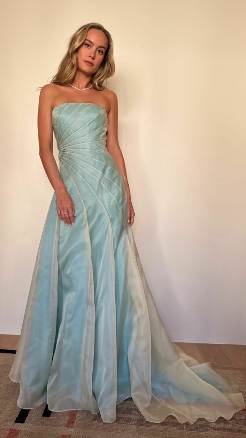 brie365d83635a628fc61