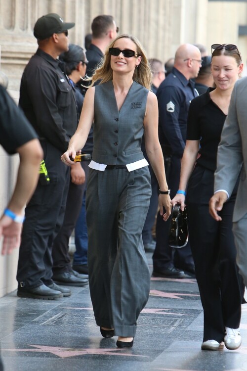 brie5151adf540eb40fa9