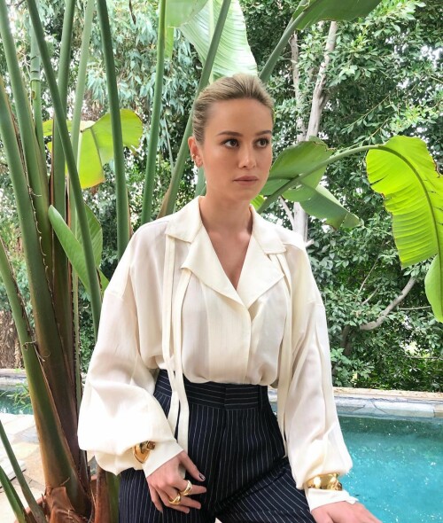 brielarson 20191120 7