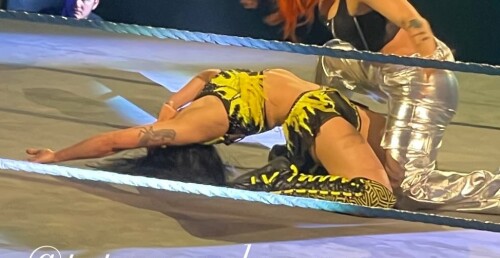 brilee wwe nxt fans2025 4 16 5.30.952 story3d732fee3c33dadf