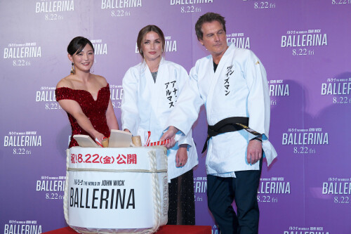 brjeajfnff03079f364695d02d8