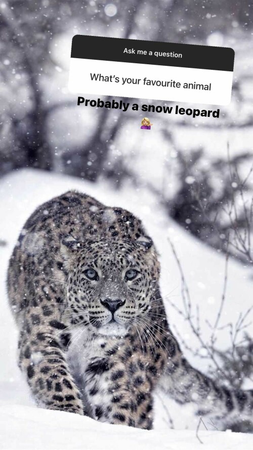 brooke.michelleee CcM42dtrV2O