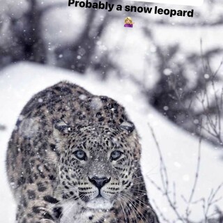 brooke.michelleee---CcM42dtrV2O