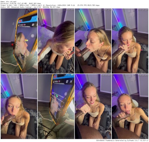 bts cat thumb49226262967adb7d