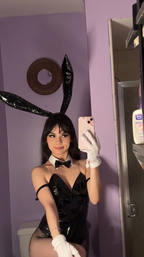 bunny 16221bf1388141f69