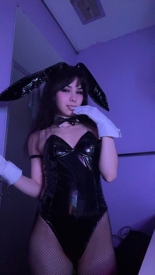 bunny 86e35d2baceaa5dfb