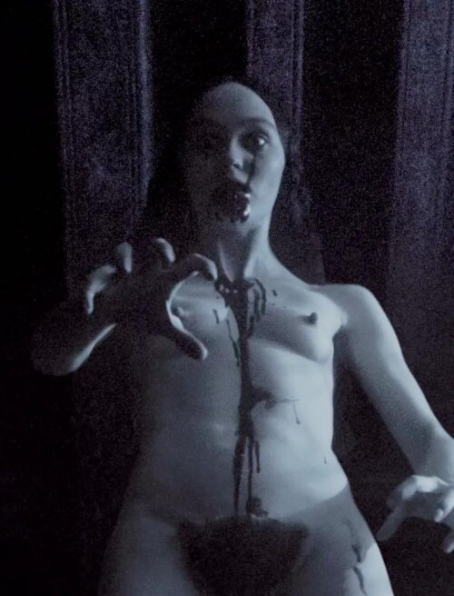 bush50216548c0bb4f01