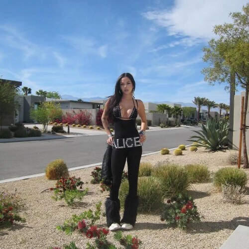 c3 1a175de598ca4c9e4