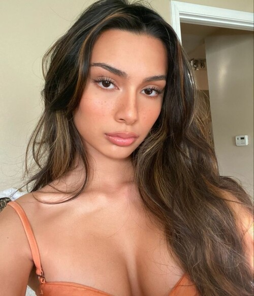 c3f03f78c320a98a282865a792845a93