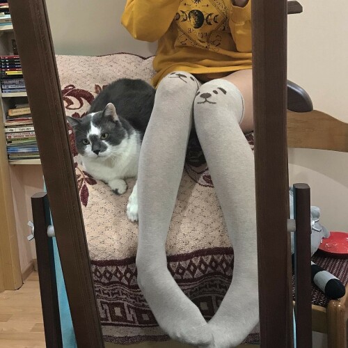 c5760eb3 d178 4c46 8105 291744b36cec