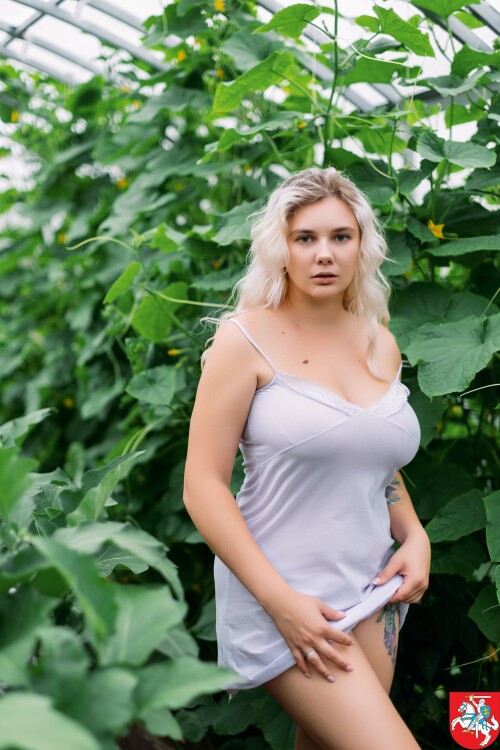 c6c60600 1bb9 433f 9211 87fd0e9a1055dd8d275907382d8f