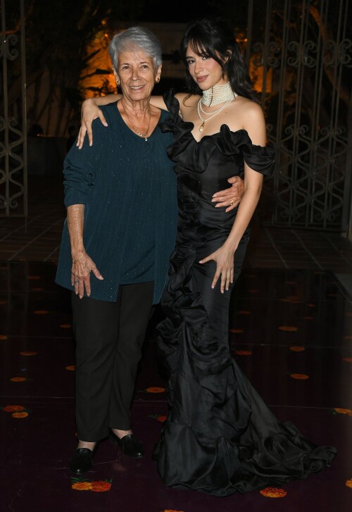 camila 217690d711f27a58b1