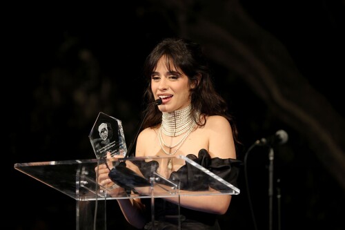 camila 410792fdbd6363c559