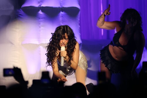 camila 461569142f551dbc6c