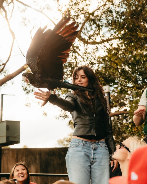 camila cabello photo DOFF32Vjmtw 20250901 202142 542799829f0eaf0b17b8c3bbd