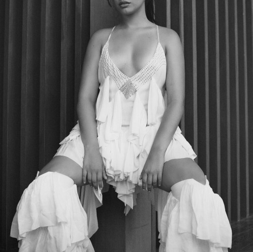 camila cabello 16960141691311419ef2a4e252d2738c