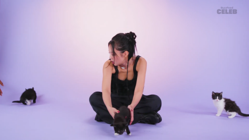 capture_17292067005249039267832275c8f