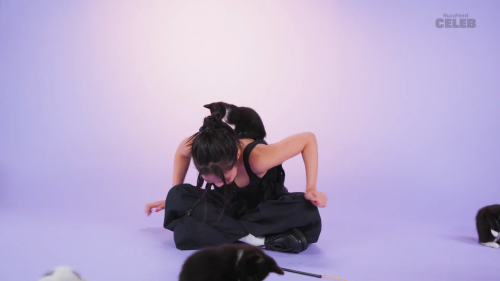 capture_172920771783902ad1ae5257689fa