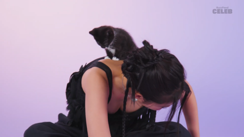 capture_172920773825800de91cca15cb3f1