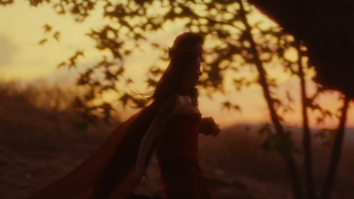 capture_1729227964904c5cc7010415afd6a