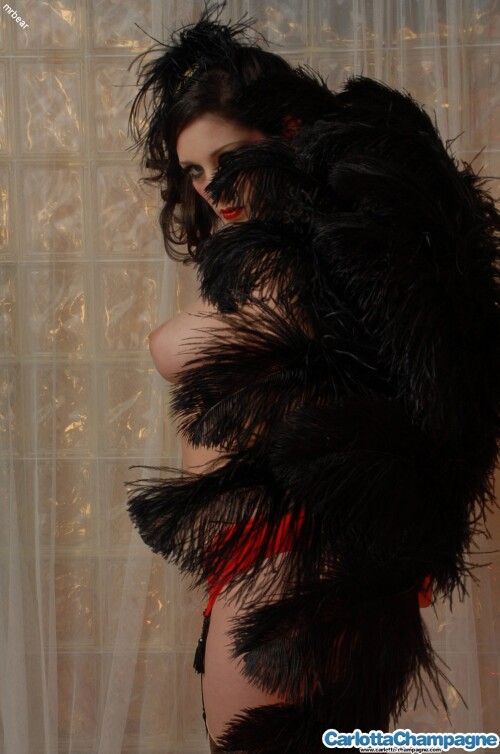 carlotta champagne 385 03 lg151a8b3b98c08267