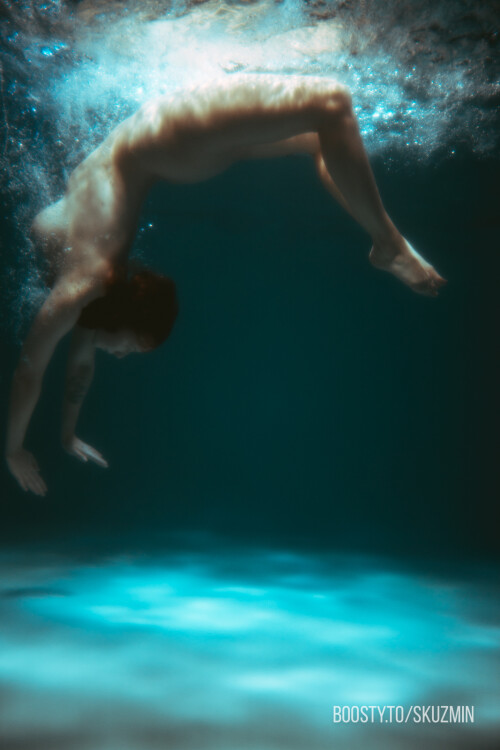 carrot 1049c30753bd33d6f8e