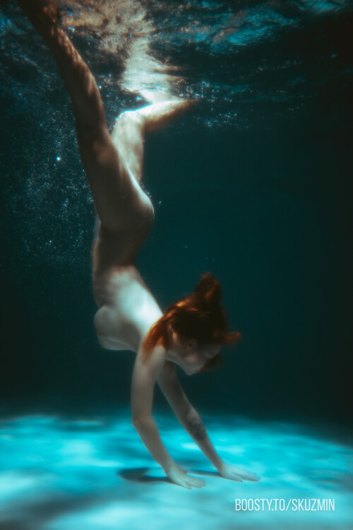 carrot 1052a20144e2d7c9c0e