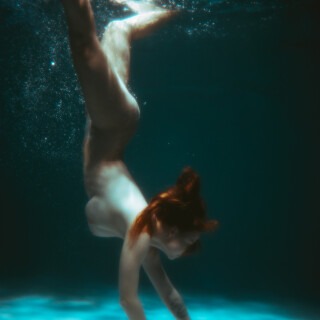 carrot-1052a20144e2d7c9c0e