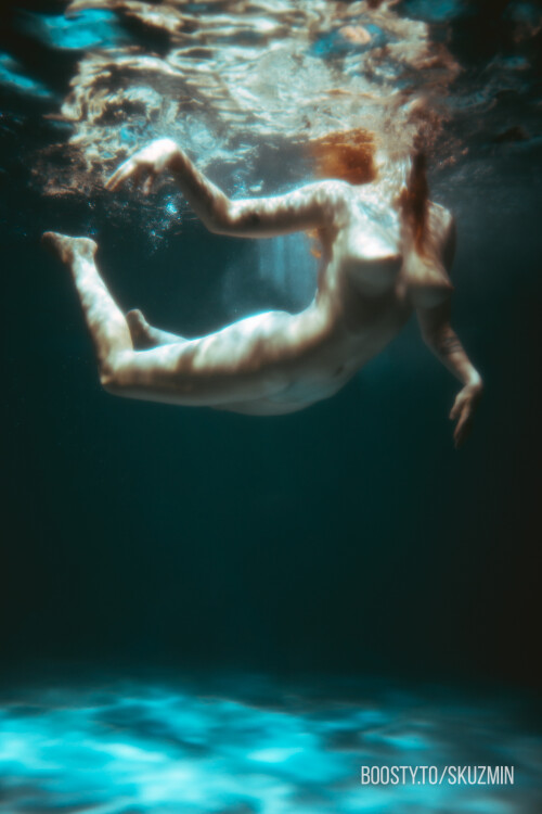 carrot 1112f4bed50da8aabd1