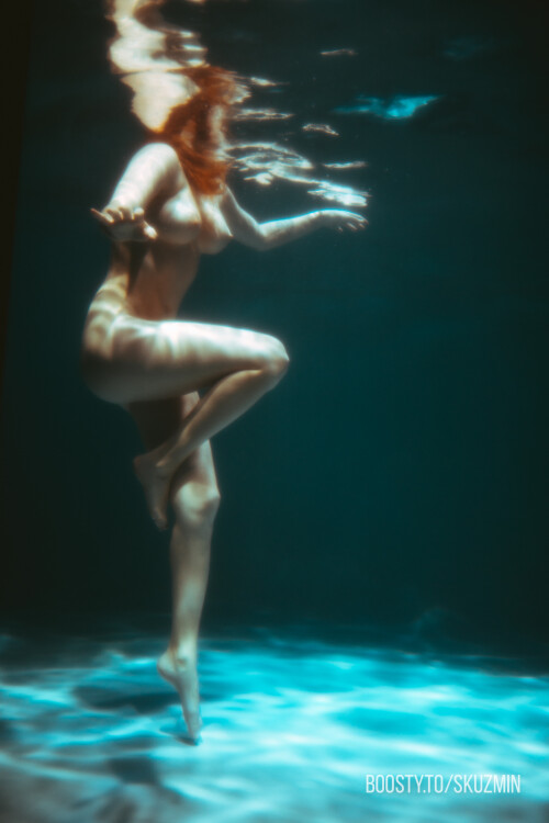 carrot 119eee2931be1817ce1