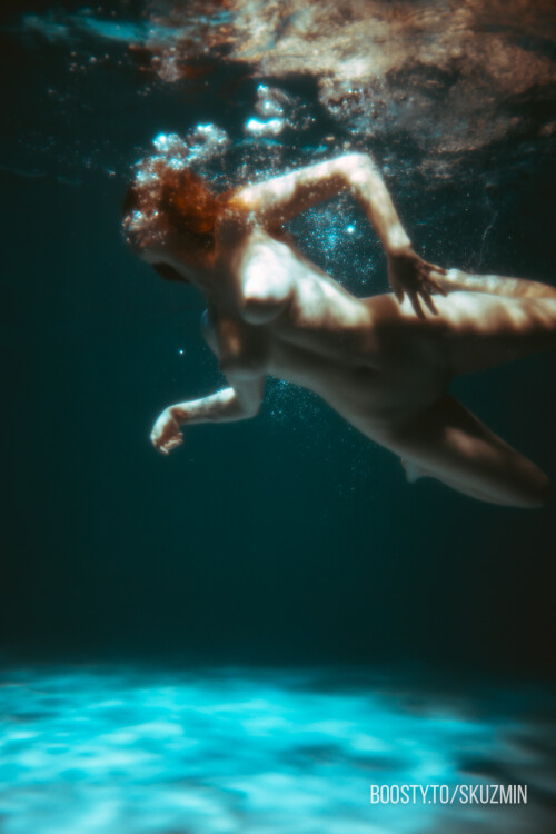 carrot 126fc9a62be189f7790