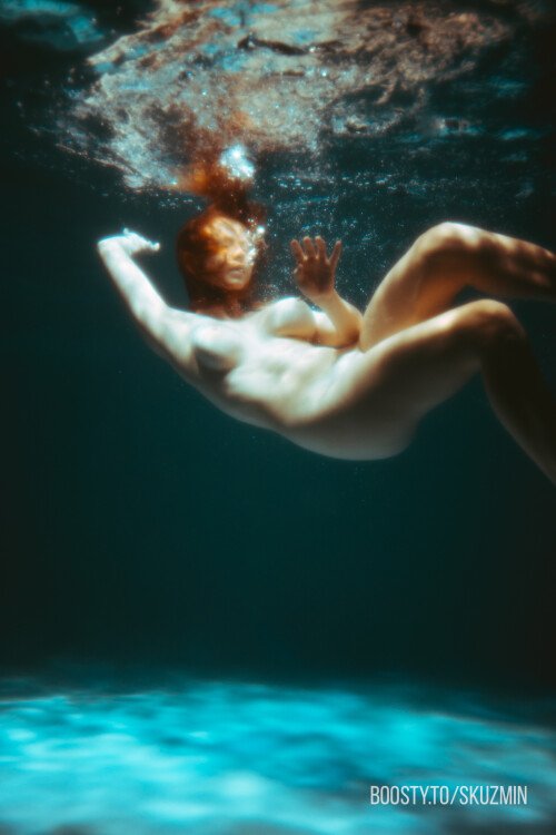 carrot 12793e28b60c316dd83