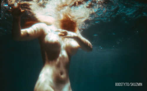 carrot 12927debc142a619f16