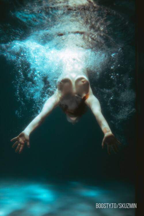 carrot 13141cd8051d4fe6539